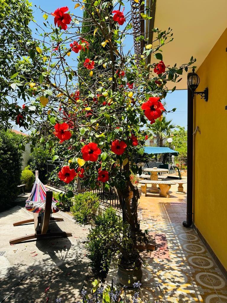Villa Sicels - Agnone Beach - Syracuse Agnone Bagni Buitenkant foto